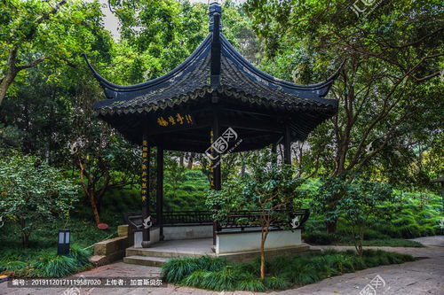 方塔园的景点介绍，方塔园和曾赵园哪个好玩