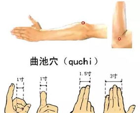 曲池的意思