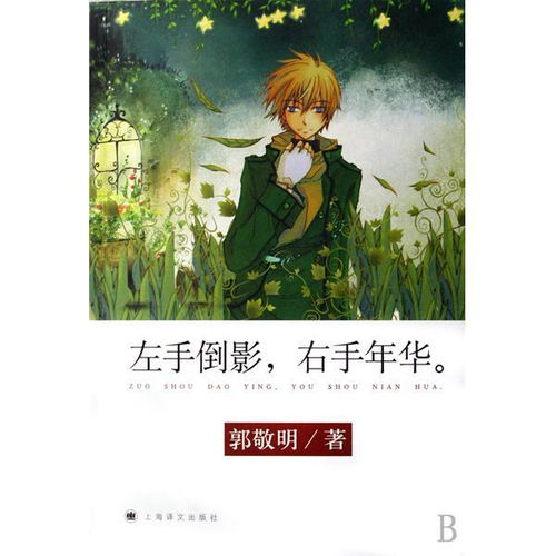 左手倒影右手年华什么意思 左手倒影右手年华意思是什么