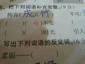 柔软的反义词是什么呢