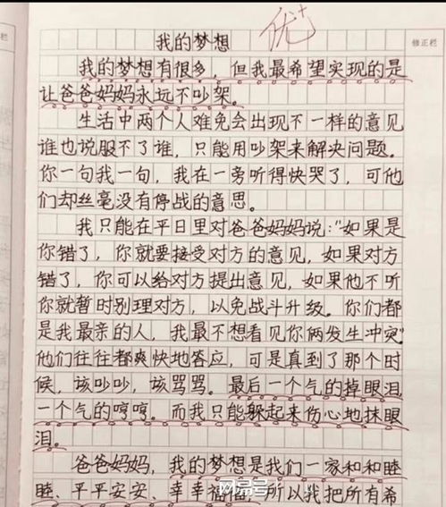 我的梦想的作文400字5篇