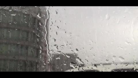 杂乱无章的反义词是什么，杂乱无章打一个生肖