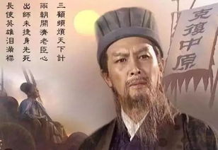 遂许先帝以驱驰的许，遂许先帝以驱驰的遂什么意思