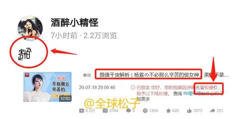 电视剧下架是什么意思，房子下架是什么意思