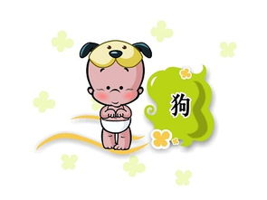 属狗的在龙年运气如何