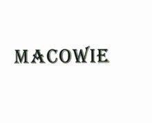 maco在企业里是什么意思