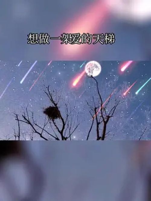 但愿人长久的下一句是啥，但愿人长久 的下一句