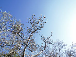 蕴蓄是什么意思