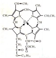 铜的电子排布图，铜的电子层排布