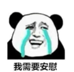 mdzz是什么意思