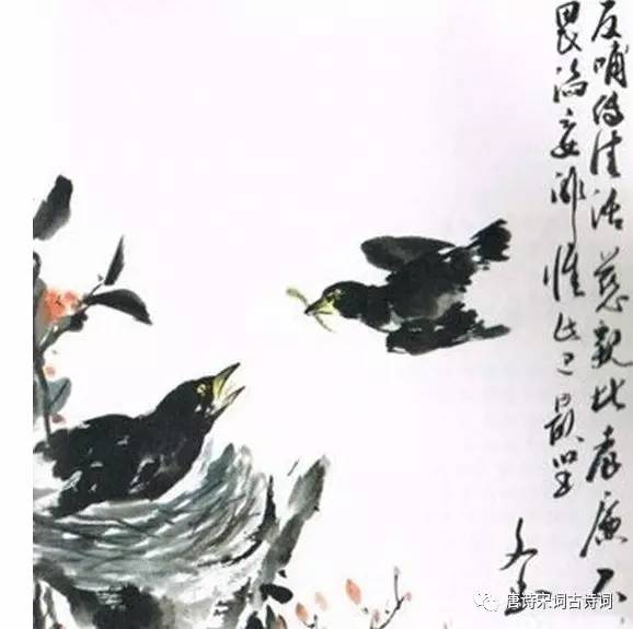 慈乌夜啼原文译文及赏析