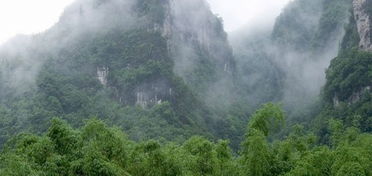 龙里天气预报15天查询，龙里天气预报15天查询百度