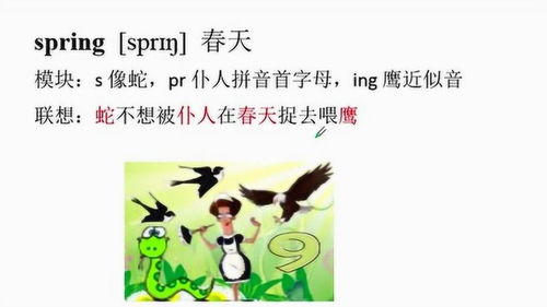 季节春夏秋冬用英语怎么说，春夏秋冬用英语怎么说小视频讲解