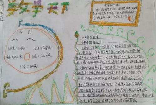 数据收集整理手抄报二年级数学又漂亮又简单，数据收集整理手抄报二年级图片