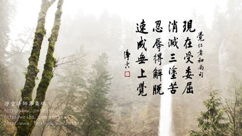 巧言乱得小不忍则乱大谋的意思，小不忍则乱大谋的意思解释