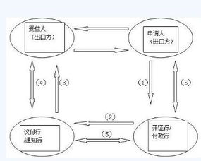 基期和即期区别是什么?