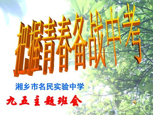 把握青春的句子，把握青春不负韶华作文600字