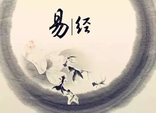 越矩啥意思，越矩了