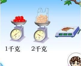 kg是什么意思的缩写，mg是什么意思
