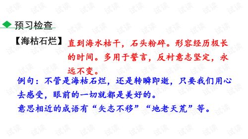 时间的脚印教案及板书设计，时间的脚印教案表格