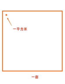一亩等于多少平方米千米，一亩等于多少米长多少米宽