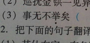 举 什么意思