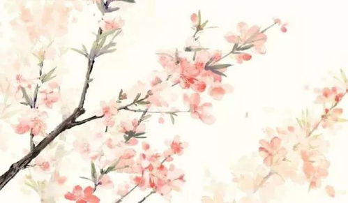 关于桃花的成语及意思，关于桃花的成语俗语谚语诗句