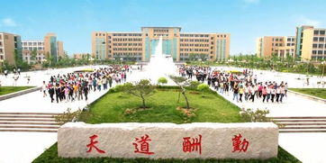 山东现代学院是几本专升本，山东十大野鸡院校