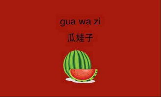 瓜娃子:是什么意思?