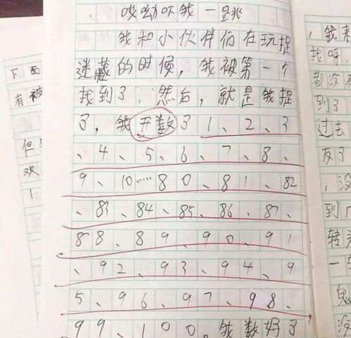一次成功的尝试作文500字5篇