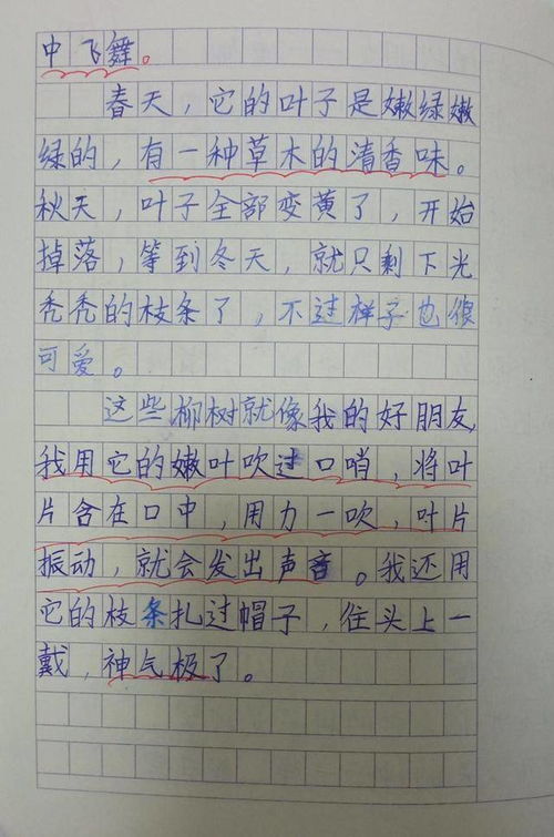 我的植物朋友作文300，我的植物作文350字