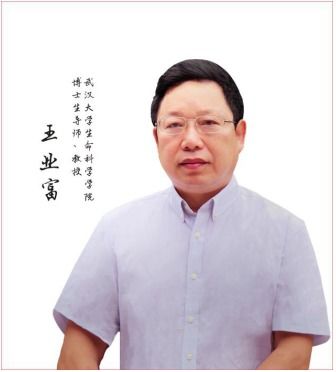 王业富枯草杆菌溶栓酶是真的吗，王业富纤溶酶多少钱一盒