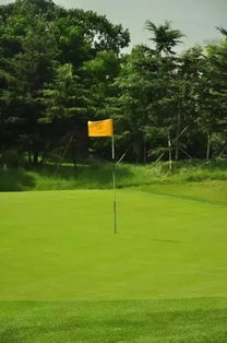 高尔夫果岭叉是做什么用的?