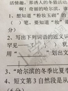 罕见的意思