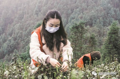 箬怎么读