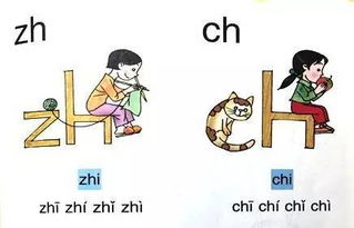 善于观察拼音，观察拼音怎么写的拼音怎么写拼音怎么拼写