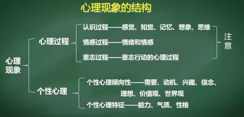 心理现象包括