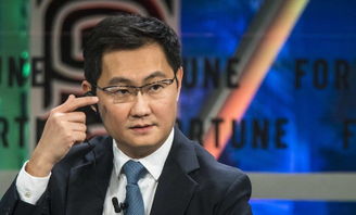 马化腾毕业于什么大学什么专业?