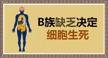 肌体免疫力，肌体检查
