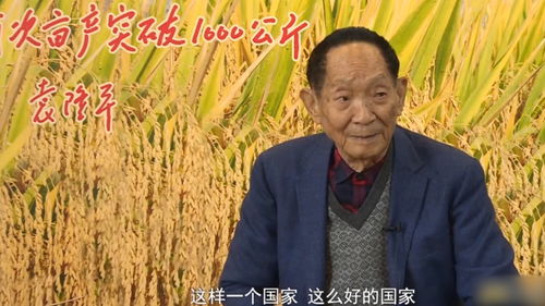 忧国忧民 出处?