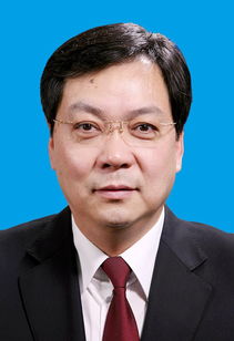 张华的个人简历