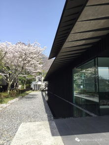隈隩，隈研吾成都展览