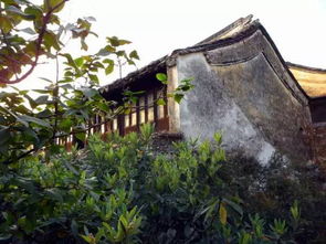 隐逸高洁的意思