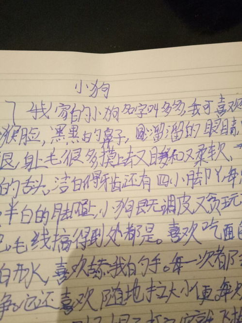 我家的动物园作文400字左右四年级，我家的动物园作文400字四年级写人