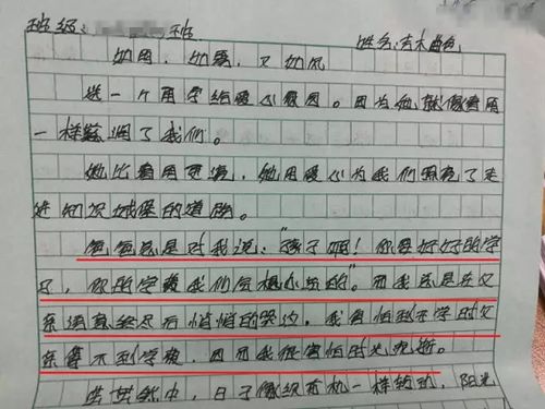 上学路上作文