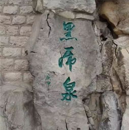 好狗边上飘
