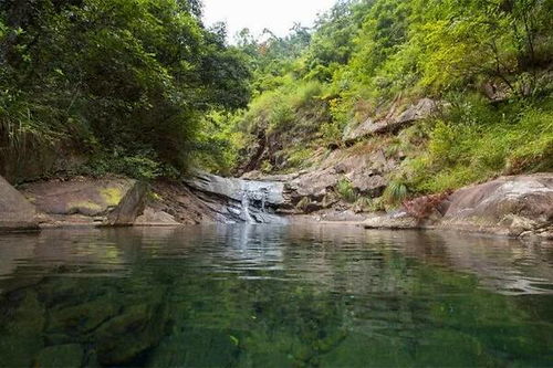 固国不以山溪之险的国，固国不以山溪之险原文