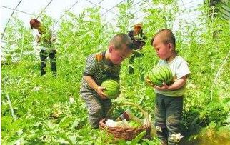 男生叫女生瓜娃子是什么意思，陕西话瓜娃子是什么意思