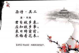 杂诗三首唐王维，杂诗三首其二唐王维