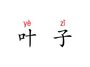 敬礼的拼音怎么写，敬的拼音怎么写的拼音怎么读